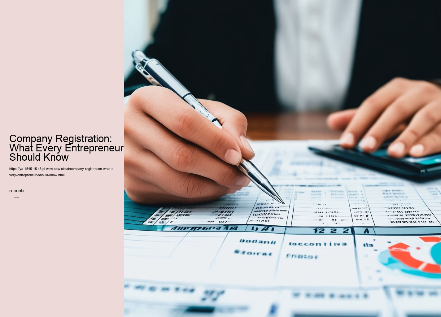 Company Registration: What Every Entrepreneur Should Know