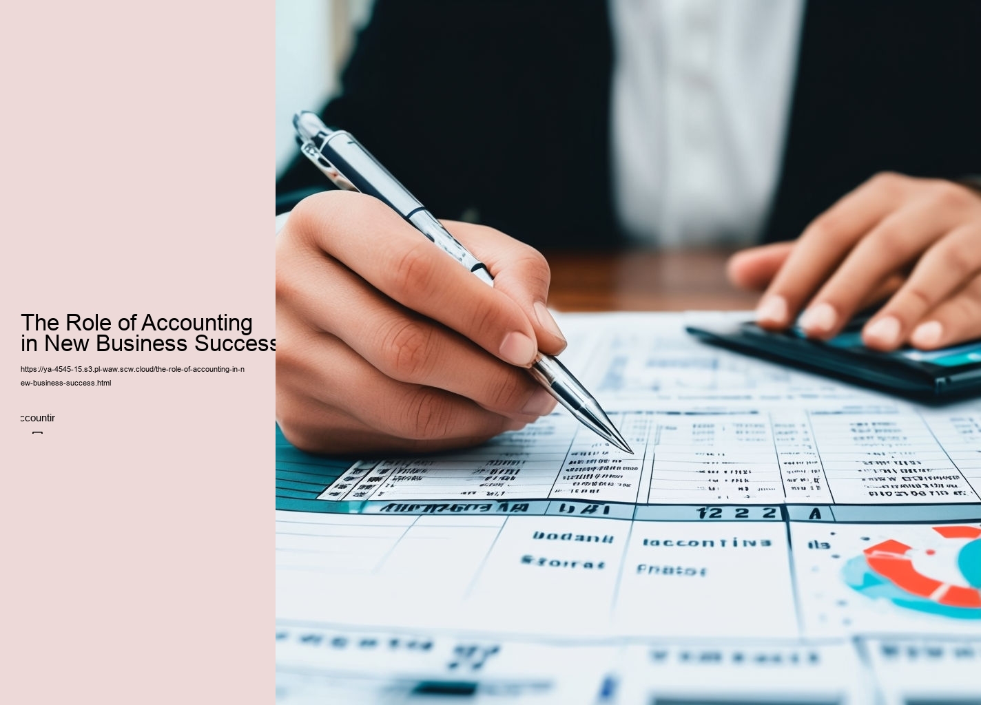 The Role of Accounting in New Business Success